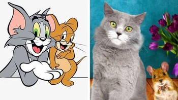Persahabatan si kucing dan tikus Tom and Jerry. Foto: Brightside