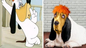 Si anjing Droopy. Foto: Brightside
