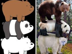 Begini Jadinya Sonic, Garfield Hingga Squidward di Dunia Nyata