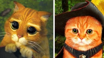 Si kucing Puss in Boots dari film Shrek 2. Foto: Brightside
