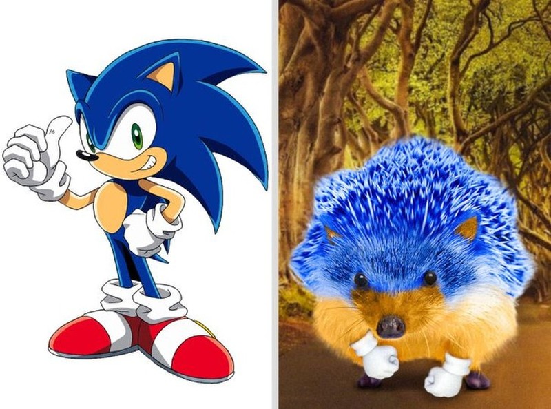 Begini Jadinya Animasi Sonic, Garfield Hingga Squidward di Dunia Nyata