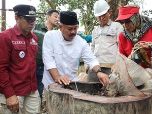 Bupati Kukar Edi Damansyah Panen Jagung Hibrida-Madu Kelulut di Tani Harapan