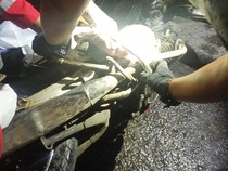 Viral Kaki Pemotor Nancap Rem Saat Laka di Bantul, Ini Faktanya