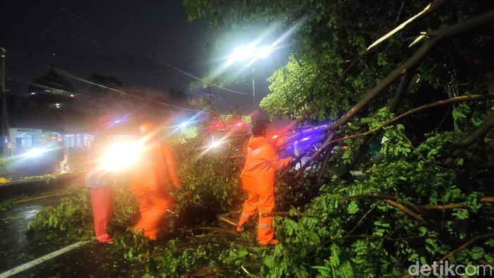 Hujan deras disertai angin kencang menerjang Sidoarjo dan sekitarnya menyebabkan 10 pohon tumbang.
