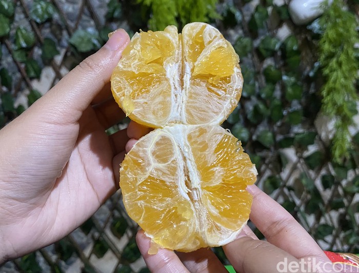 Ini 5 Varietas Jeruk Unik, Ada yang Sekilo Rp 140 Ribu!