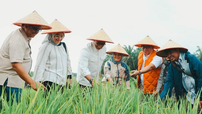 Peninjauan pilot project ketahanan pangan lewat penanaman padi gogo di Siak (Foto: Istimewa)