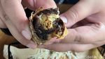 Menikmati Es Kopi Susu dan Lidah Penyet di Kafe yang Sejuk Asri