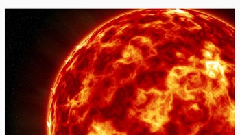 Pertanyaan ke-12. Foto: (Bored Panda).