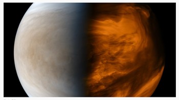 Pertanyaan ke-16. Foto: (Bored Panda).