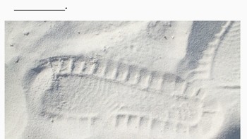 Pertanyaan ke-4. Foto: (Bored Panda).