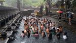 Bule-bule Ikut Ritual Melukat Banyu Pinaruh di Bali