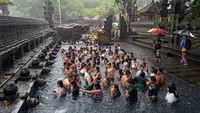 Umat Hindu di Bali tetap menjalani ritual yang digelar setiap enam bulan sekali yakni sehari setelah Hari Raya Saraswati tersebut meski hujan deras mengguyur kawasan itu. 