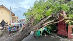Dampak Angin Kencang di Kota Mojokerto