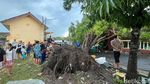 Dampak Angin Kencang di Kota Mojokerto