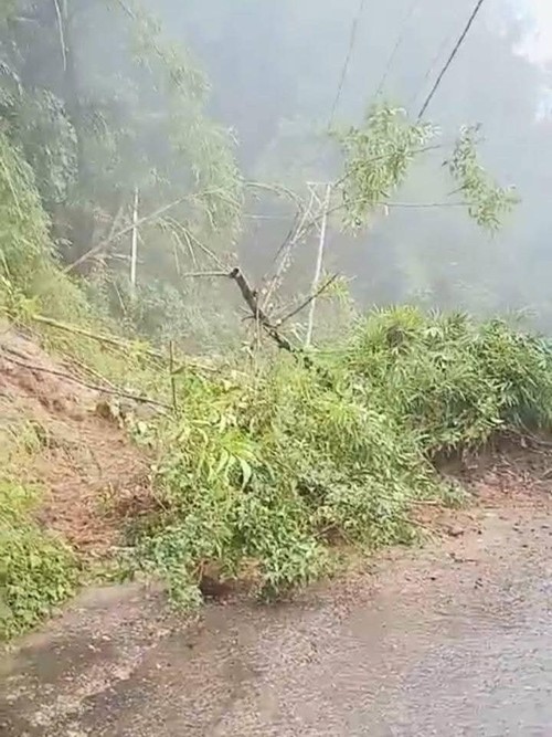 Longsor di ruas Jalan Trans Bambor - Werang, tepatnya di Kampung Lara, Desa Poco Golo Kempo, Kecamatan Sano Nggoang, Manggarai Barat, NTT, Minggu (9/2/2025) siang. (Istimewa)