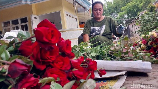 Permintaan Bunga Mawar di Kota Batu Meningkat Jelang Valentine