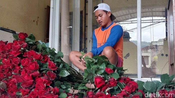 Petani mawar di Kota Batu