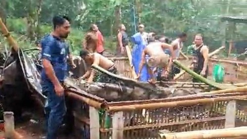 TKP pohon tumbang di Desa Bungaya, Kecamatan Bebandem, Kabupaten Karangasem, Minggu (9/2/2025).(istimewa)