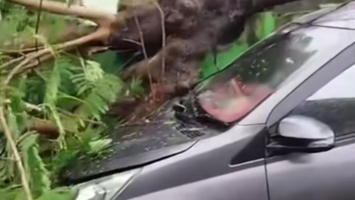 Pohon tumbang timpa mobil di Perumahan Villa Mutiara Biru Makassar.