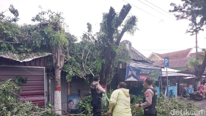 Polisi mengevakuasi salah satu pohon tumbang yang menutup jalan di Kota Mojokerto.