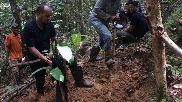 Polisi menemukan mayat wanita berinisial KM yang diduga korban pembunuhan di dalam hutan di Kabupaten Sorong, Papua Barat Daya.