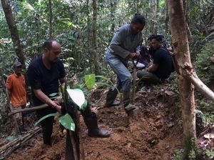 Wanita Mayatnya Tinggal Kerangka di Hutan Sorong Diduga Dibunuh 2023 Lalu