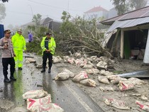 Kronologi Kecelakaan Maut Truk Tronton Tewaskan 3 Orang di Kintamani