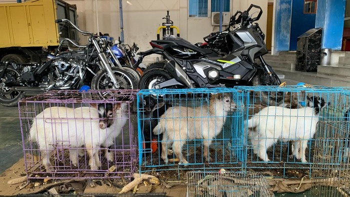 Direktorat Jenderal Bea dan Cukai (DJBC) Kementerian Keuangan dalam operasi gabungan kembali melakukan penindakan di bidang kepabeanan. Kali ini dilakukan penindakan terhadap penyelundupan barang ilegal pada Minggu (2/2) sekitar pukul 05.15 WIB di Jalan raya Medan-Banda Aceh Alue Dua, Kota Langsa, Provinsi Aceh.