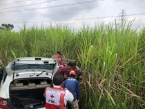 Sopir Kena Serangan Jantung, Mobil Nyungsep di Ladang Tebu Sragen