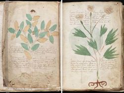 Misteri yang Tidak Dapat Dijelaskan dan Membingungkan Dunia