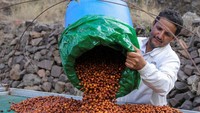 Kopi Yaman, yang terkenal karena cita rasanya yang kompleks dan sejarahnya yang panjang, kini ditingkatkan ke tingkat yang lebih tinggi melalui teknik baru: fermentasi terkendali.