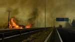Kebakaran Hutan Meluas, Chile Tetapkan Status Darurat