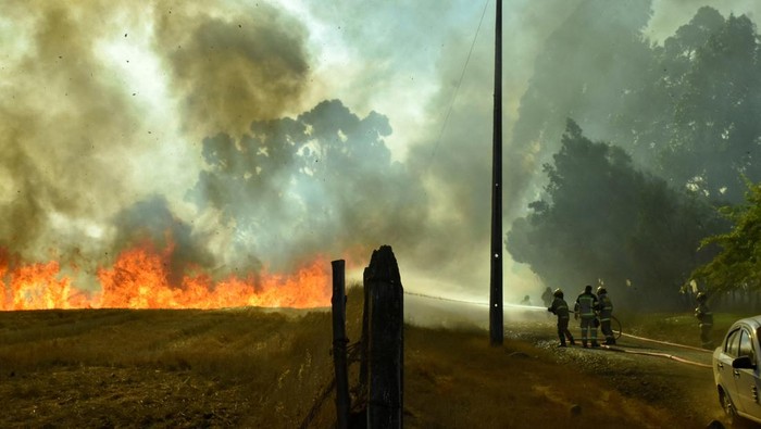 Kebakaran Hutan Meluas, Chile Tetapkan Status Darurat Nasional Fire burns along a road, following the spread of wildfires near Lautaro, Chile February 9, 2025 REUTERS/Hector Andrade
