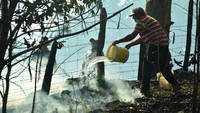Presiden Boric mengatakan ada alasan yang kuat untuk percaya bahwa sebagian besar kebakaran yang memengaruhi La Araucania disengaja 