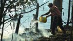 Kebakaran Hutan Meluas, Chile Tetapkan Status Darurat Kebakaran Hutan Meluas, Chile Tetapkan Status Darurat