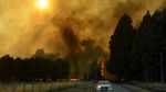 Kebakaran Hutan Meluas, Chile Tetapkan Status Darurat