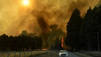 Presiden Chile Gabriel Boric mengumumkan status darurat untuk 2 wilayah di bagian tengah dan Selatan Chile karena ancaman kebakaran hutan. 