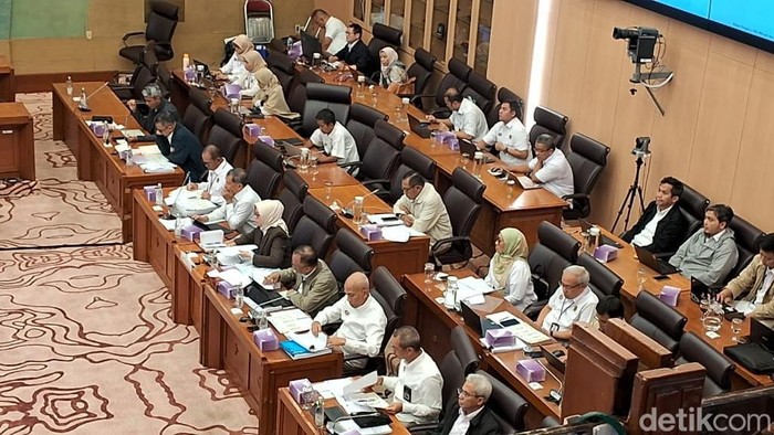Kepala BPH Migas Erika Retnowati rapat dengan Komisi XII