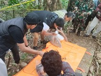 Misteri Mayat Wanita Sisa Kerangka dengan Mulut Terikat Kain di Palopo