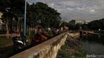 Perluas RTH di Jakarta untuk Kualitas Udara Sehat