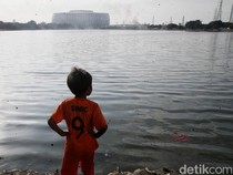 Perluas RTH di Jakarta untuk Kualitas Udara Sehat