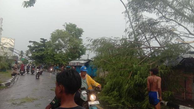 Kondisi pohon tumbang menimpa kios warga di Kecamatan Woja, Kabupaten Dompu, NTB Senin (10/2/2025).