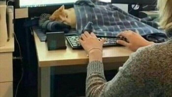 Makajikan kalau tidur emang kadang suka seenaknya ya. Foto: (Bored Panda).