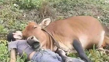 Apa nggak keberatan ya itu? Foto: (Bored Panda).