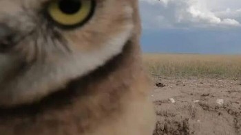 Senyum kali, jangan cemburut aja. Foto: (Bored Panda).