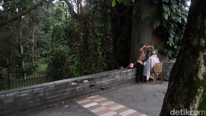 Sudah 23 tahun, Idrus membuka usaha potong rambut di baah pohon di kawasan Jalan Otista, Bogor, Jawa Barat. Hawa sejuk menyelimuti prosesi potong rambut.
