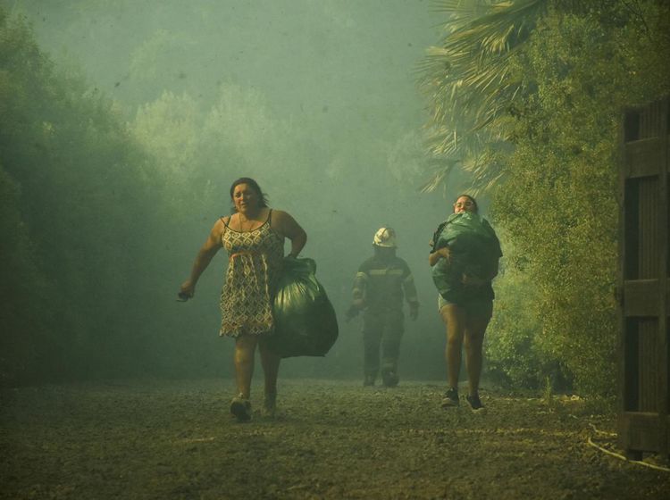 Warga Chile Melarikan Diri dari Ancaman Kebakaran Hutan
