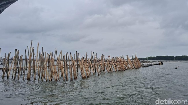 4 Fakta Perkara Pagar Laut Bekasi Jerat 9 Tersangka