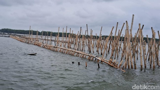 4 Fakta Perkara Pagar Laut Bekasi Jerat 9 Tersangka