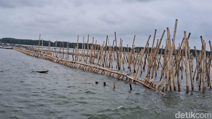 Pagar laut di Bekasi Pagar laut di Bekasi